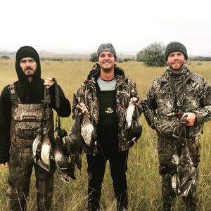 Meet your Posher, Peter